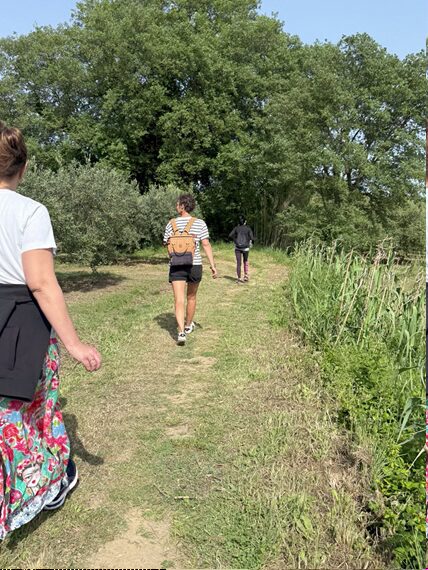 balade et dégustation vin dans un vignoble, domaine viticole