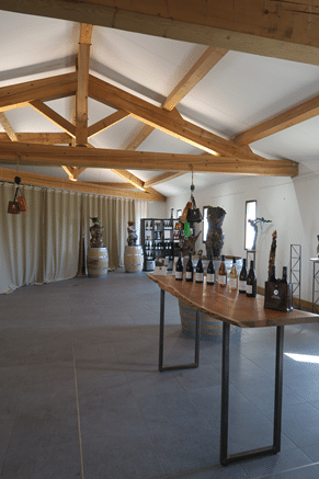 balade et dégustation vin dans un vignoble, domaine viticole pezenas